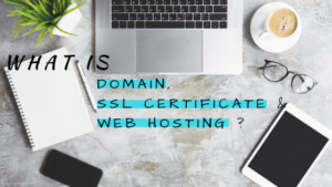 What is Domain